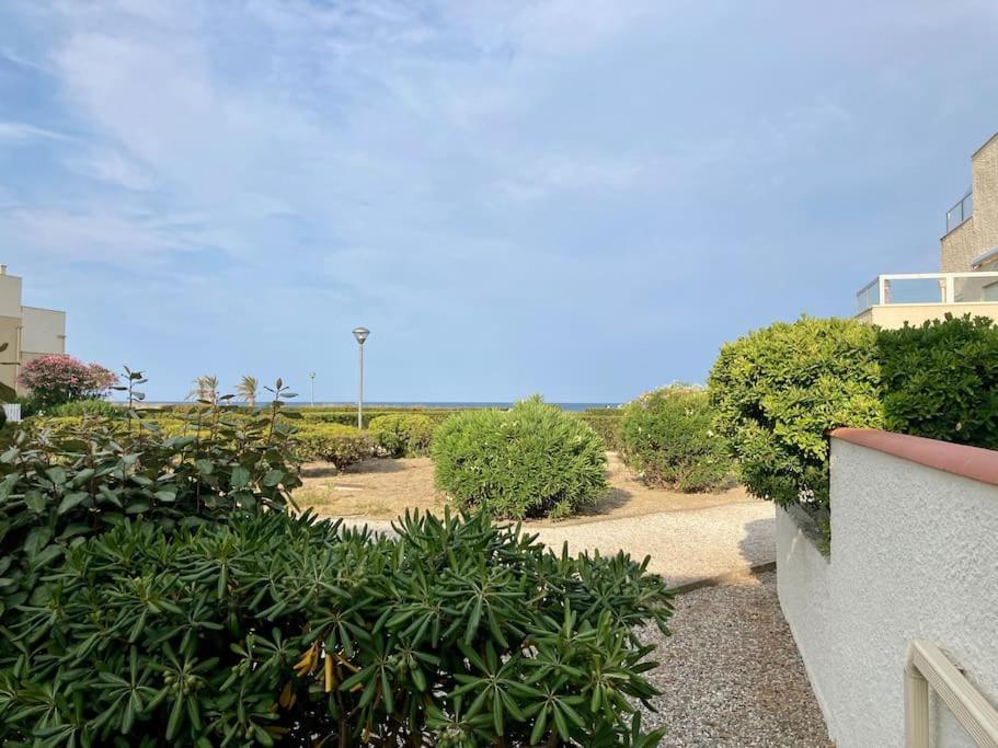 Le Grand Large 3 Pieces En Rez De Jardin, Avec Terrasse Et Acces Direct A La Plage A Pied Le Barcarès Zewnętrze zdjęcie